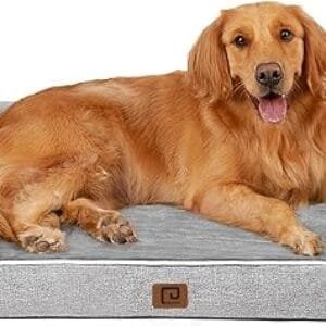 EHEYCIGA Orthopedic Dog Beds for Extra Large Dogs, Waterproof Memory Foam XL Dog Bed with Sides, Non-Slip and Egg-Crate Foam Big Dog Couch Bed with Washable Removable Cover, Grey